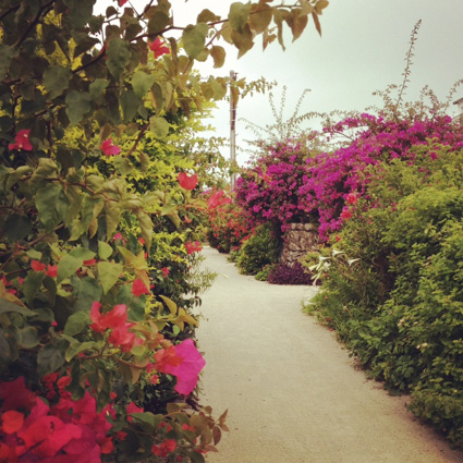 20120505.JPG