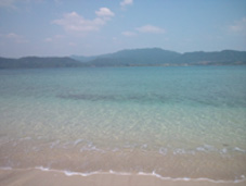 細崎.jpg