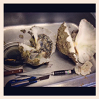 20120519-3.JPG