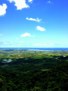 20120526-2.JPG