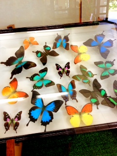 20120526.JPG