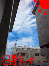 港.JPG