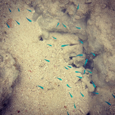 20120609-2.JPG