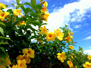 20120609-3.JPG