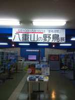 NCM_0173.JPG