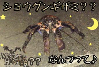 ショウグンギザミ！.jpg