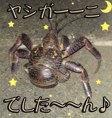 ヤシガーーーニだぉ!.jpg ヤシガーーーニだぉ!.jpg