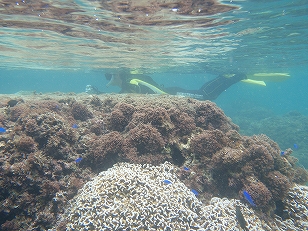 s-0704.jpg