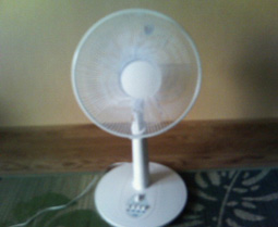 201206141604000.jpg