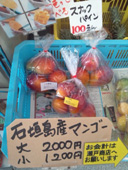 マンゴー＆パイン.jpg