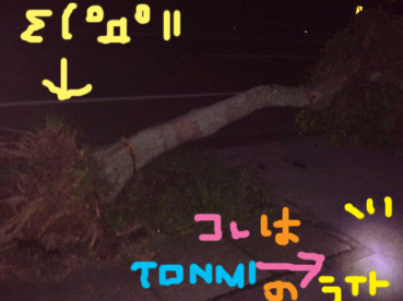 嵐の後の･･･.jpg