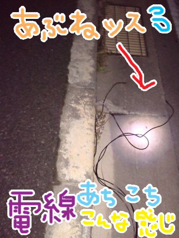 電線も!!!!!.jpg