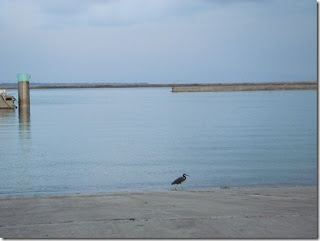 1006[2]-742367.jpg