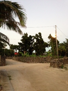 20121222.JPG