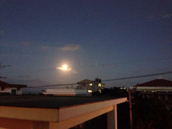20121229-2.JPG