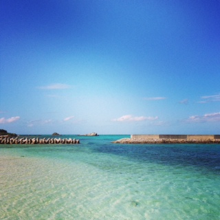20120126.JPG