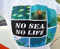 水中写真をTシャツに！