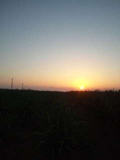 0320.jpg