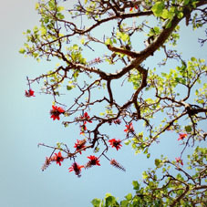 20130330.jpg