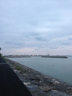 20130413.JPG