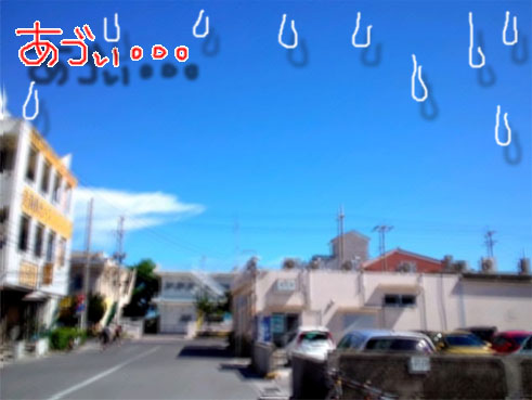 私の視界・・・.jpg