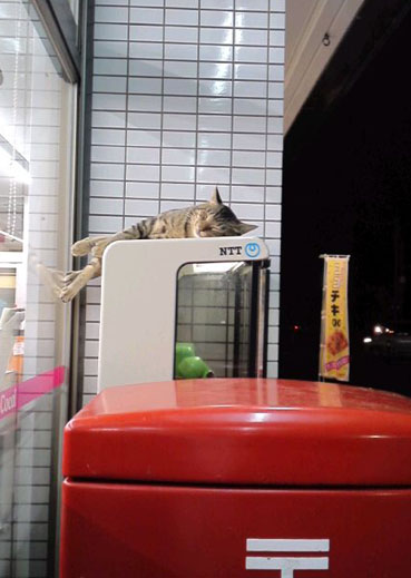 どこでっっ？？.jpg