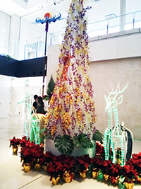 メリークリスマス★