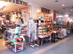 FxCam_20140220_mise.jpg