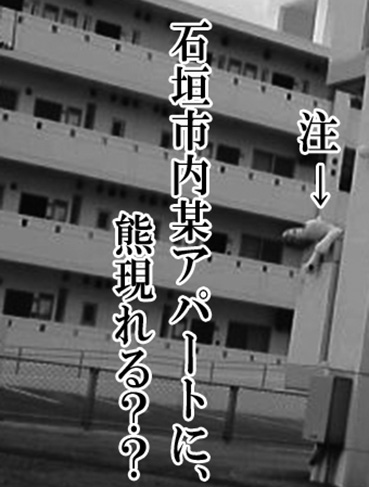 熊出没Σ(ﾟдﾟlll).jpg