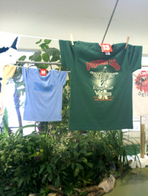 FxCam_20140501_Agora vivo.jpg