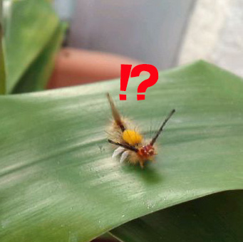 !?何っっ??.jpg !?何っっ??.jpg