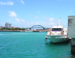 DCIM20140724_sange.JPG