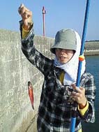 釣れたよ！