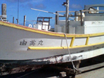由美丸１.jpg
