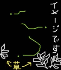 蛍２のコピー.jpg