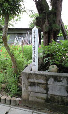 やまねこ やまねこ