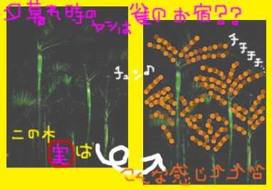雀のお宿2のコピー.jpg 雀のお宿2のコピー.jpg