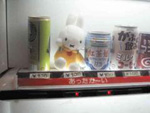 ホットなミッフィー.jpg