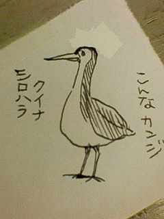 シロハラクイナ・・・？