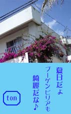 夏日だょのコピー.jpg