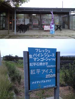 パインだけじゃないよ。