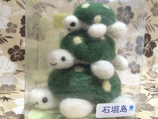 ウミガメ2