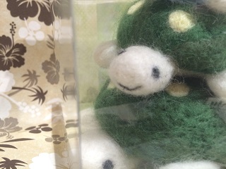 ウミガメ3