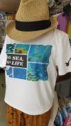 NO SEA,NO LIFE